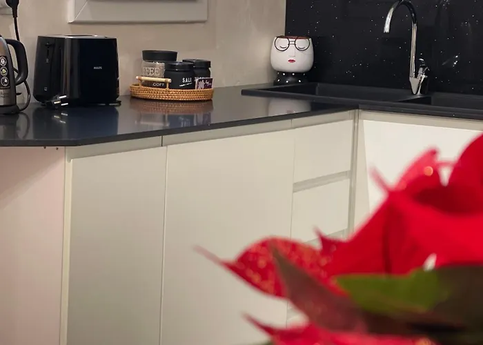 Magicflo Santa Croce Διαμέρισμα Φλωρεντία